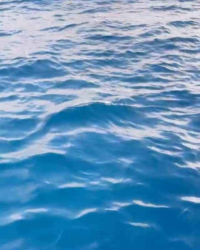 Lanikai Bath and Bodyのインスタグラム