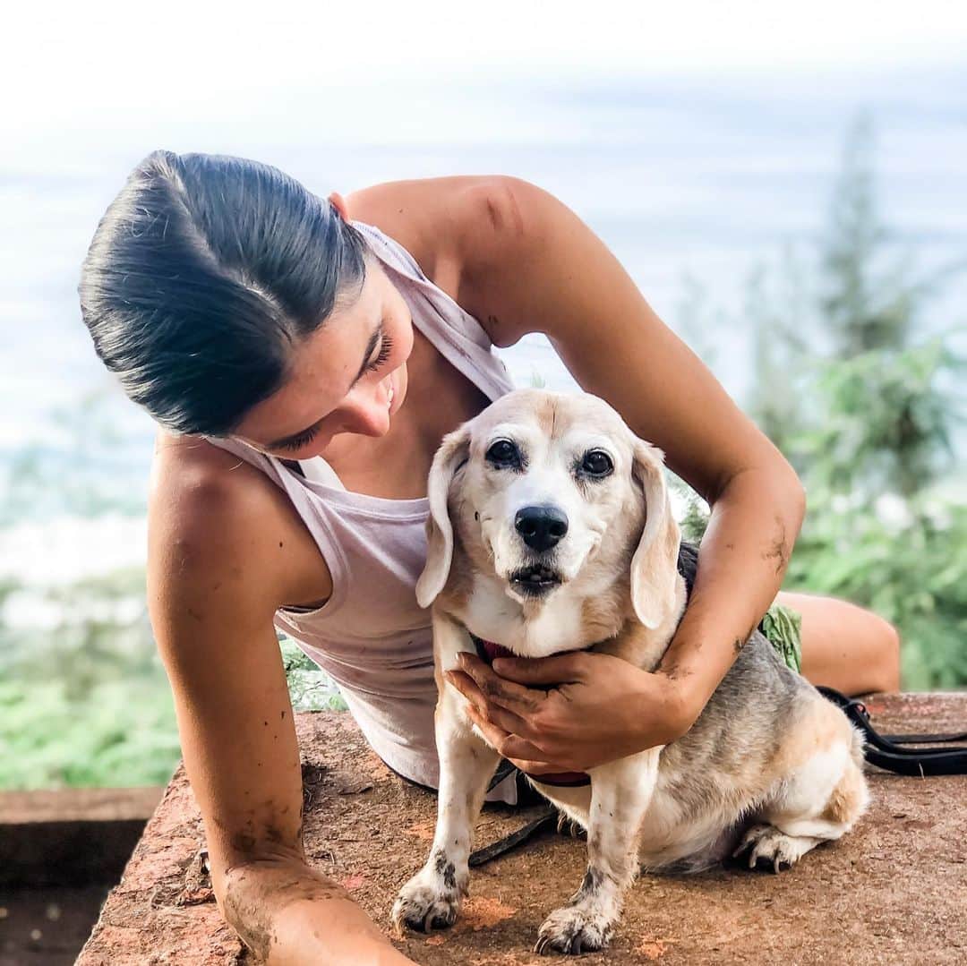 マヤ アリーナのインスタグラム：「14 years old and still crushes muddy, slippery hikes 🐶 雨が降った後のハイキングは大変だったけど、ペッパーちゃんがんばって上ったよ。  #seniorbeagle #pepperchan #muddypaws」