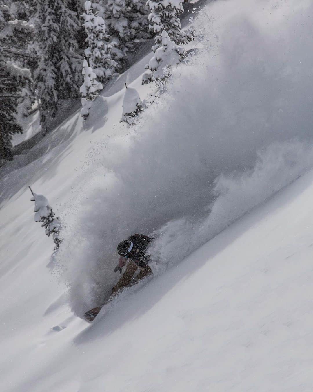 ジミー・チンのインスタグラム：「@jeremyjones throwin shade.  Watching Jeremy slide through snow is a beautiful thing to witness.  @protectourwinters」