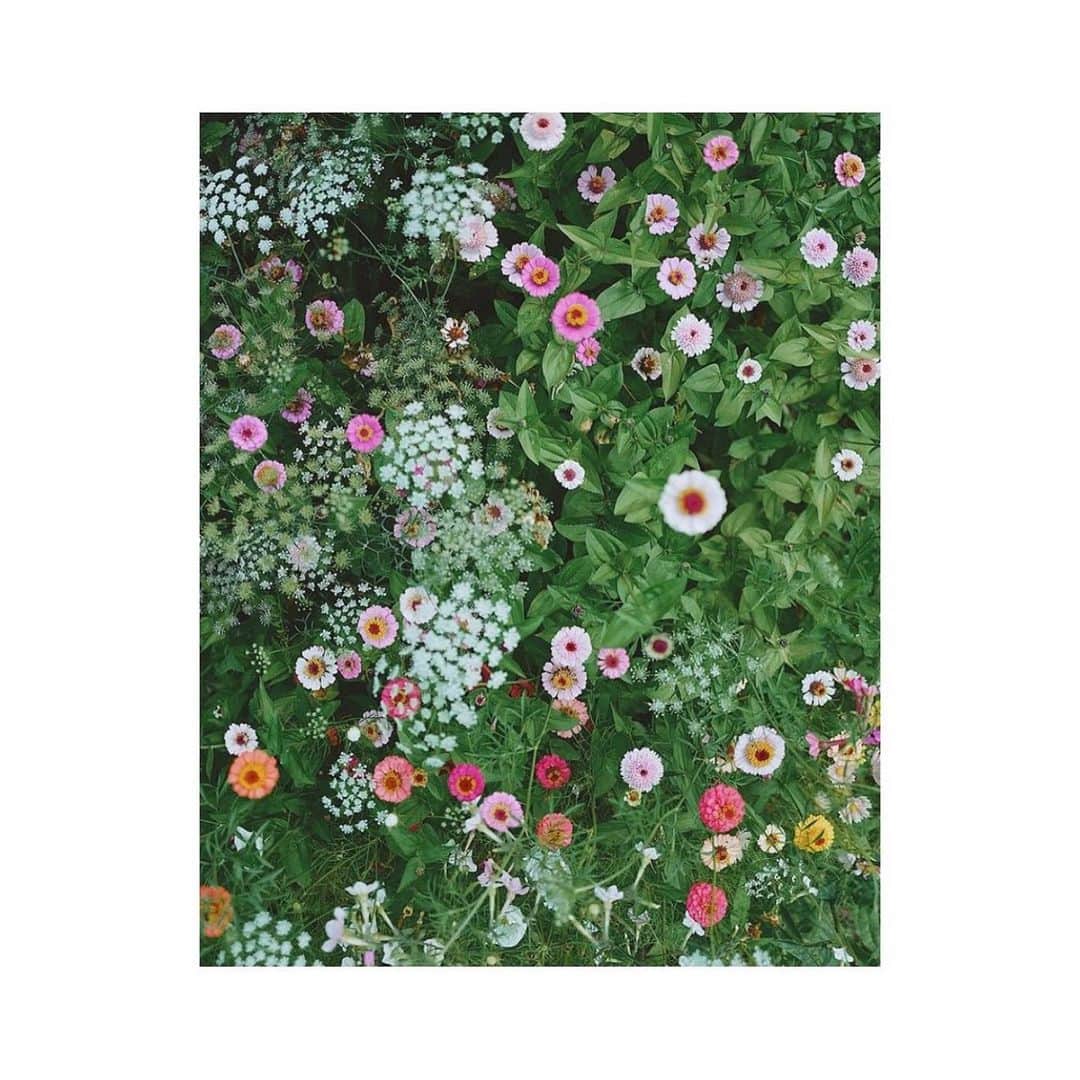 チン・ジェヨンのインスタグラム：「. 특별한일이없어도  기분좋은 한주가되길요  아뵤 🍀 . . . #진재영_제주지엔느  .」