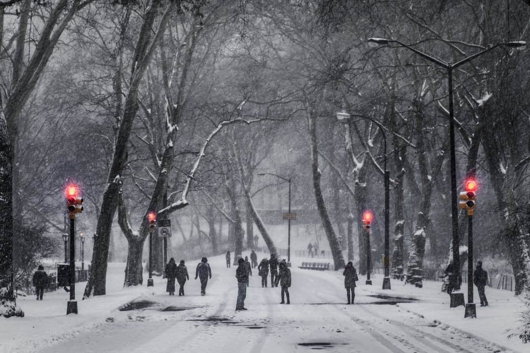 National Geographic Travelさんのインスタグラム写真 - (National Geographic TravelInstagram)「Photo by @juancristobalcobo / A winter storm falls on Central Park, New York City. #snow #centralpark #juancristobalcobo」2月22日 8時35分 - natgeotravel