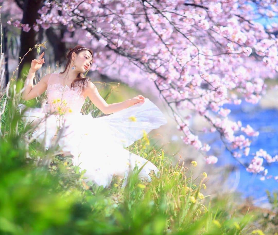 舘林佳史のインスタグラム：「伊豆の河津桜🌸でファンタジ〜プリンセス撮影🥰💓 モデルさんは安定の美女❣️プリンセス浅川👸 @airrri.0123   宣材プロモーション撮影受け付け中〜😘  ﻿ ﻿誰でも物語の主人公になれるをキャッチコピーに﻿ ドラマや映画の物語のワンシーンの様なDramaticStoryPhotと言う名前で活動作品作りをしています。﻿ ﻿ 大好評のドラマティックフォトのご依頼はこのクオリティーで30000円〜(ほぼ諸経費)で受け賜わっています)^o^( ﻿ ﻿ 素敵な作品を一緒に作りたい！コラボレーションしたい 美容師・メイクアップアーティストさん ・服飾デザイナーさんクリエイターさんも随時募集中です✨﻿ ﻿ お姫様になりたい👸物語の主人公になってみませんか^ ^⁉︎.﻿ ﻿ ﻿ たった一枚の写真で人生が変わる‼️﻿ ﻿ ﻿ ✨作品作り体験モデルに興味がある方 ドラマティックフォト依頼 撮影依頼 体験モデル募集﻿ ﻿ ①お名前②地域③年齢④身長⑤LINE ID⑥応募理由やお問い合わせ内容⑦最近の髪型スタイルの分かる写真をDMまたはメール下さい✨﻿ ﻿ 📩contact@dramaticphoto.jp﻿ ﻿ モデル宣材撮影 コンポジ Book作り プロフィール撮影 ブライダルフォト記念撮影 衣装レンタル 成人式 着物 ドレスロケーションフォト スチール サロンモデル撮影 写真集等撮影のご依頼何でもお気軽にお問い合わせDM下さい✨📩 .﻿ ༚┈❁┈༚༝༝༚┈❁┈༚༝༝༚┈❁┈༚༝༝༚┈❁┈ ༚༝༝༚┈❁┈ . ．﻿ #ファンタジー#ディズニー#プリンセス#シンデレラ#夢の国#河津桜#伊豆#河津#フォトジェニック#プロモーション撮影#静岡#ドラマティックストーリーフォト#インスタ映え#作品作り #撮影依頼#シューティング#撮影依頼募集中 #ファインダー越しの私の世界 #写真を撮るのが好きな人と繋がりたい  #ストロビスト#ポートレート#ポートレートモデル#モデル募集#被写体#カメラマン#フォトグラファー#photographer」