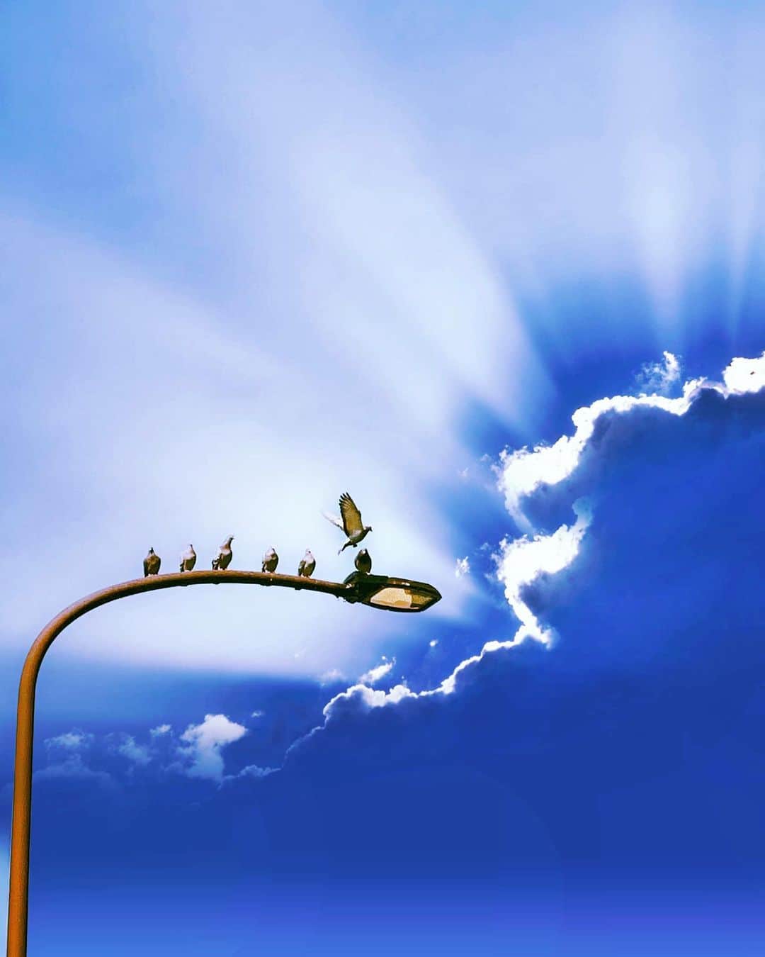 満島真之介さんのインスタグラム写真 - (満島真之介Instagram)「♡  希望の春へ 素直の翼で飛び立て  2021.02.22..上手くいくよ」2月22日 9時13分 - mitsushimax