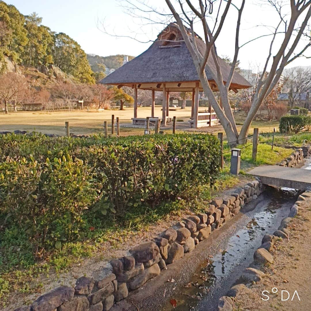 松本隆博さんのインスタグラム写真 - (松本隆博Instagram)「。 みなおはー 今日の朝の道後公園は サイコーに輝いてました。 やはり日の出はいい。 そして日に日に暖かくなる のがわかる朝のウォーキング。 なのでここで一句！  先走る… 僕と季節が…… 並んでる… (^ ^) 松本山頭歌」2月22日 9時34分 - takam0210