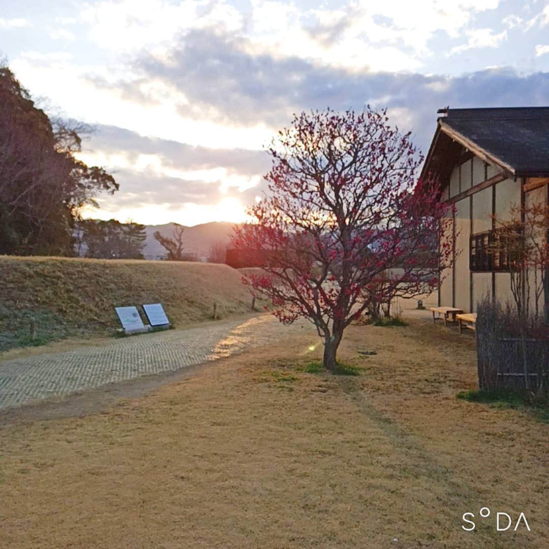 松本隆博さんのインスタグラム写真 - (松本隆博Instagram)「。 みなおはー 今日の朝の道後公園は サイコーに輝いてました。 やはり日の出はいい。 そして日に日に暖かくなる のがわかる朝のウォーキング。 なのでここで一句！  先走る… 僕と季節が…… 並んでる… (^ ^) 松本山頭歌」2月22日 9時34分 - takam0210