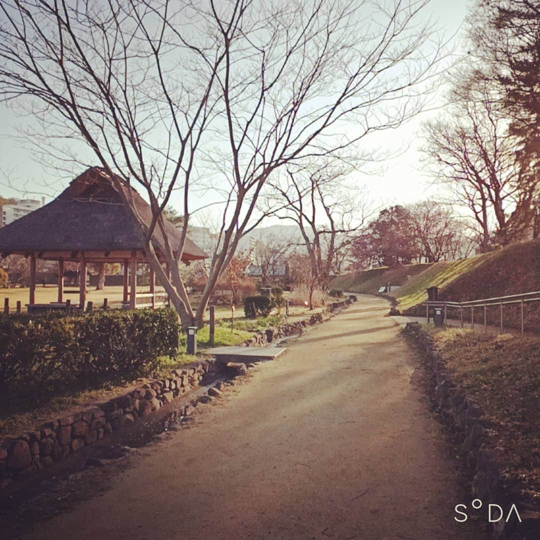 松本隆博さんのインスタグラム写真 - (松本隆博Instagram)「。 みなおはー 今日の朝の道後公園は サイコーに輝いてました。 やはり日の出はいい。 そして日に日に暖かくなる のがわかる朝のウォーキング。 なのでここで一句！  先走る… 僕と季節が…… 並んでる… (^ ^) 松本山頭歌」2月22日 9時34分 - takam0210