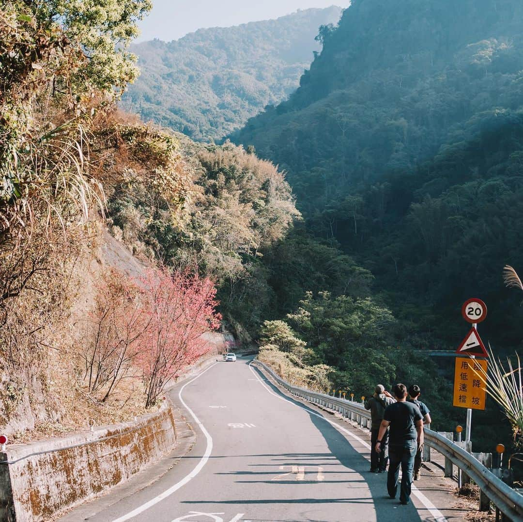 李翔のインスタグラム：「山與山之間﻿ ﻿ #SonyAlpha #SonyA7C #sel35f18﻿ @sonytaiwan ﻿ @sonyalpha﻿」