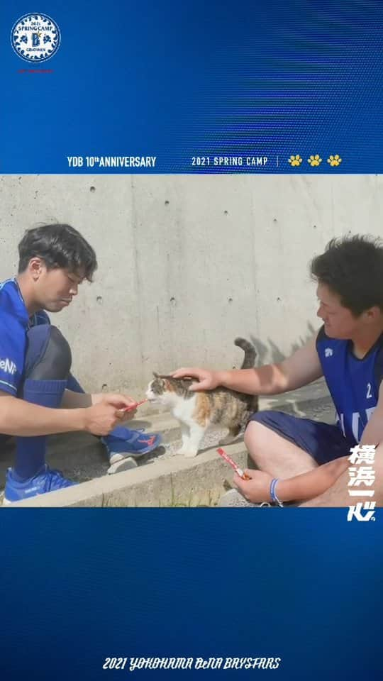 横浜DeNAベイスターズのインスタグラム