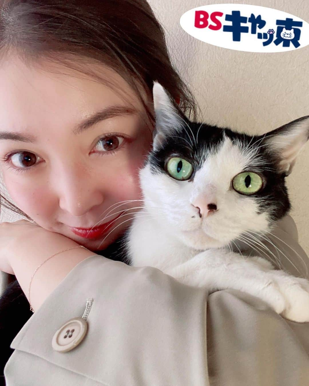 福田典子さんのインスタグラム写真 - (福田典子Instagram)「ニャんと、実家の猫ちゃんがBSキャッ東の猫社員名簿のNo.01に😹💓 ㅤㅤㅤㅤㅤㅤㅤㅤㅤㅤㅤㅤㅤ なので、こちらでは今我が家にいる猫ちゃんをご紹介です🐈✨甘えてきても、抱き締めると「ニャにすんだ！」と言わんばかりの表情に…🐱 ㅤㅤㅤㅤㅤㅤㅤㅤㅤㅤㅤㅤㅤ 2/22で #にゃんにゃんにゃん な今夜もSPORTSウォッチャー、ぜひご覧ください！」2月22日 19時35分 - norikofukuda212