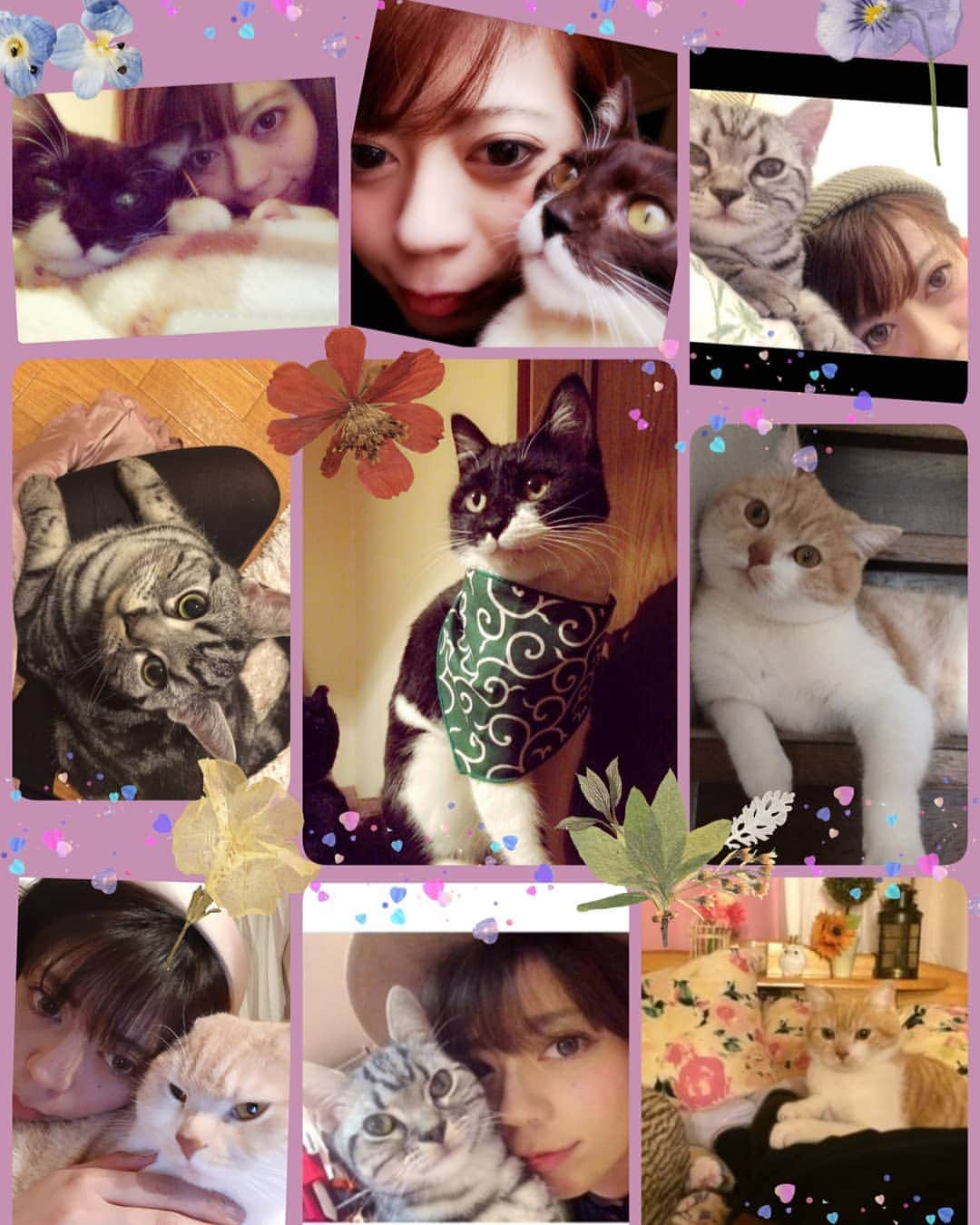 友利愛美さんのインスタグラム写真 - (友利愛美Instagram)「😸😽😻🐾🐾🐾♥♥♥  #猫の日 #cat #🐈 #天ちゃん #ルーちゃん #笑ちゃん」2月22日 19時39分 - aimitomori