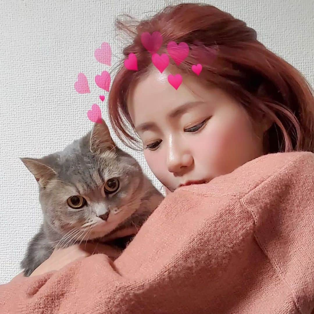 内藤理沙のインスタグラム