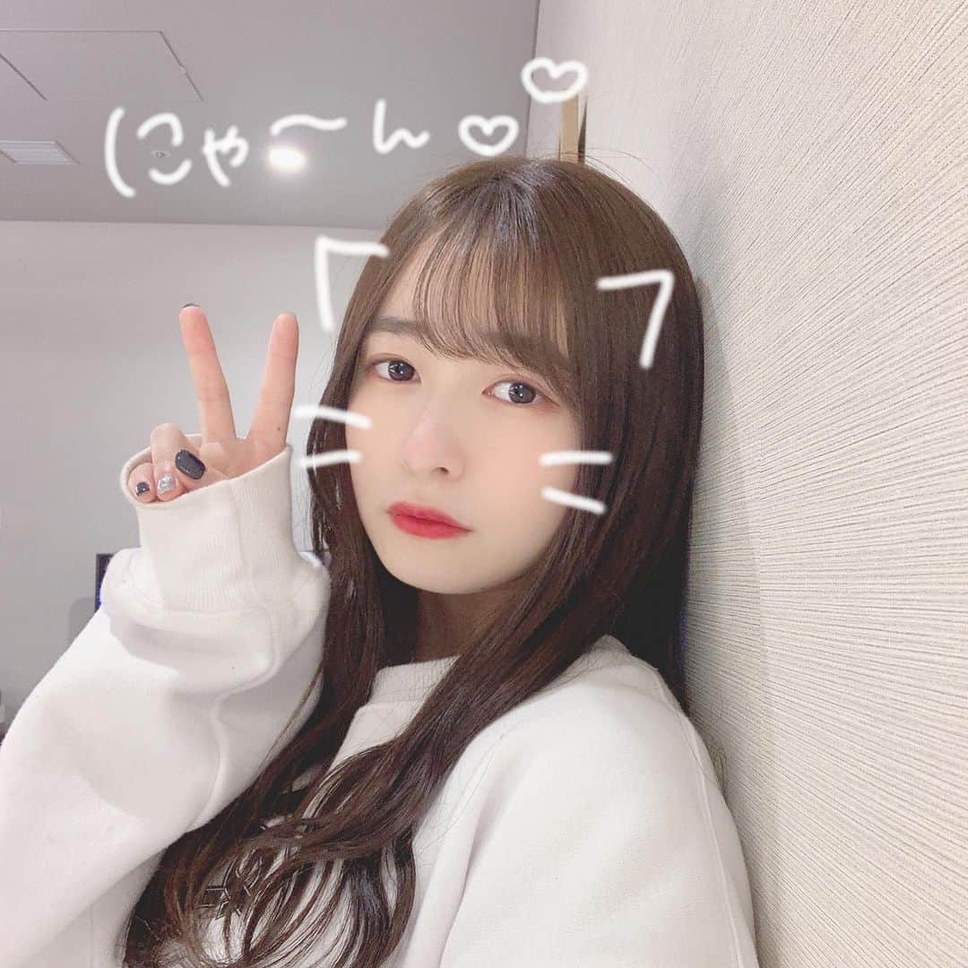 のインスタグラム：「. #ねこのひ #猫の日🐱 #にゃんにゃんの日 #猫になりたい #ねこみみ」