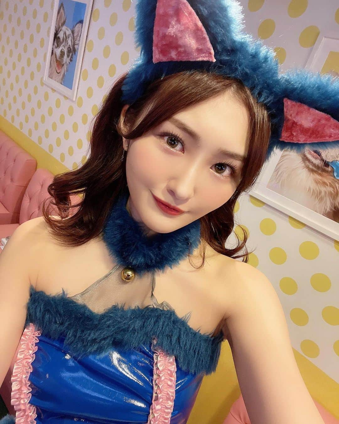 川上礼奈のインスタグラム：「. 猫の日🐱💙 この猫ちゃんは私がプロデュースしてるあにまるふぁ〜む（ @animalfarm.pyon ）の猫ちゃんです😳笑 #あにまるふぁ〜む #コンカフェ #猫の日」