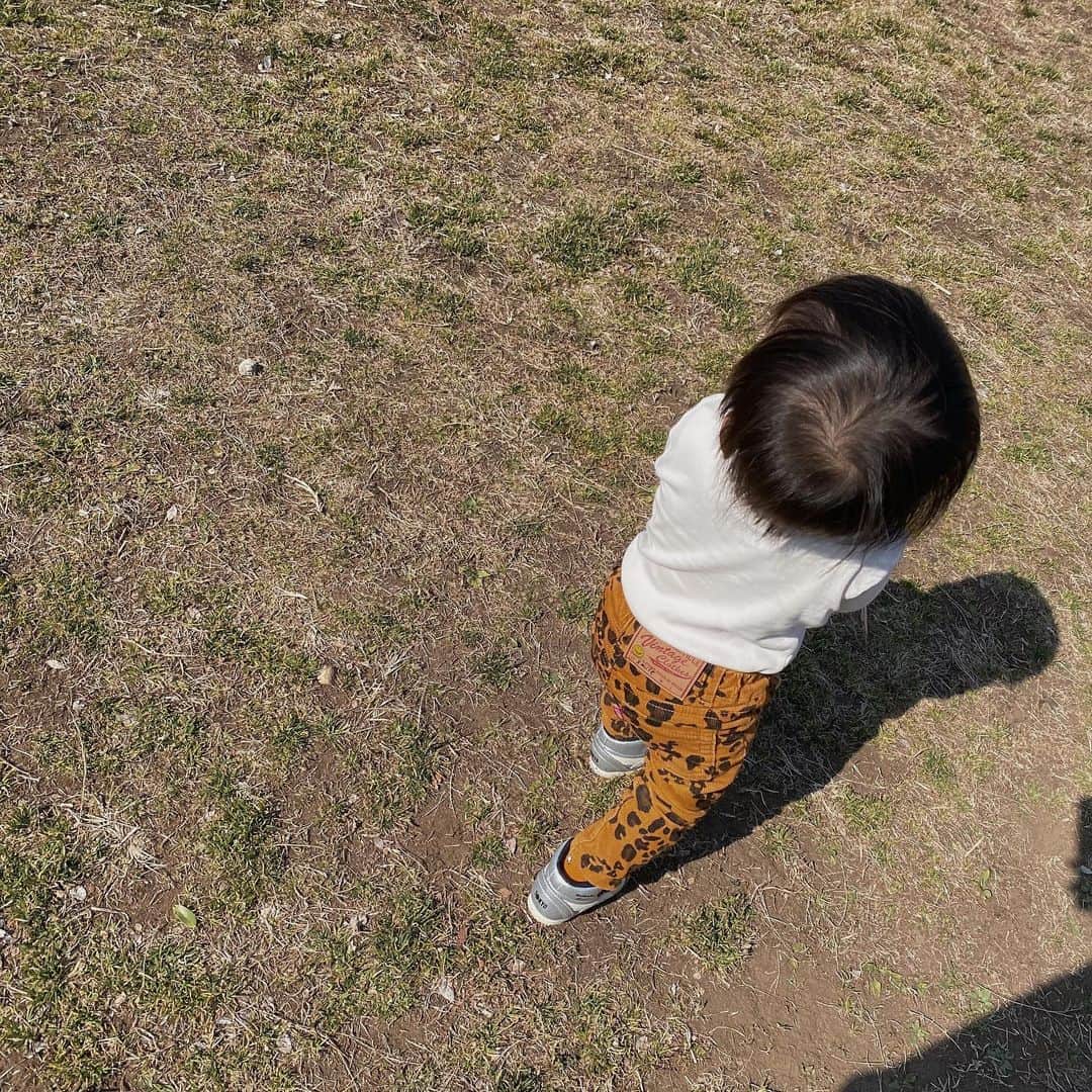 樽見麻緒のインスタグラム：「love🌱 ほんと最近急に大きくなった気がする👦🏻 毎日一緒いるとあんまり分からないけど 気づいたらどんどん成長してるな..𓅺 ׅ #1yearold#kids#boys#mom#momlife#息子#公園コーデ#男の子#男の子ママ#1歳4ヶ月#親バカ部#新米ママ#キッズコーデ#息子コーデ#成長記録#るいるいコーデ」