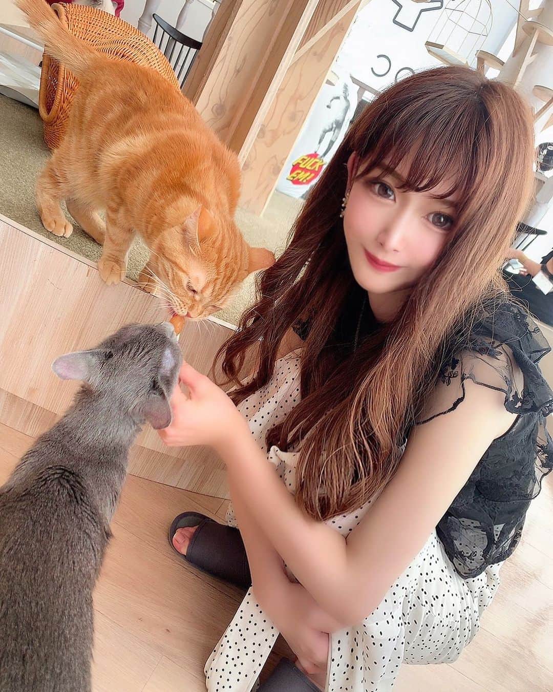 ゆうめろのグルメインスタ