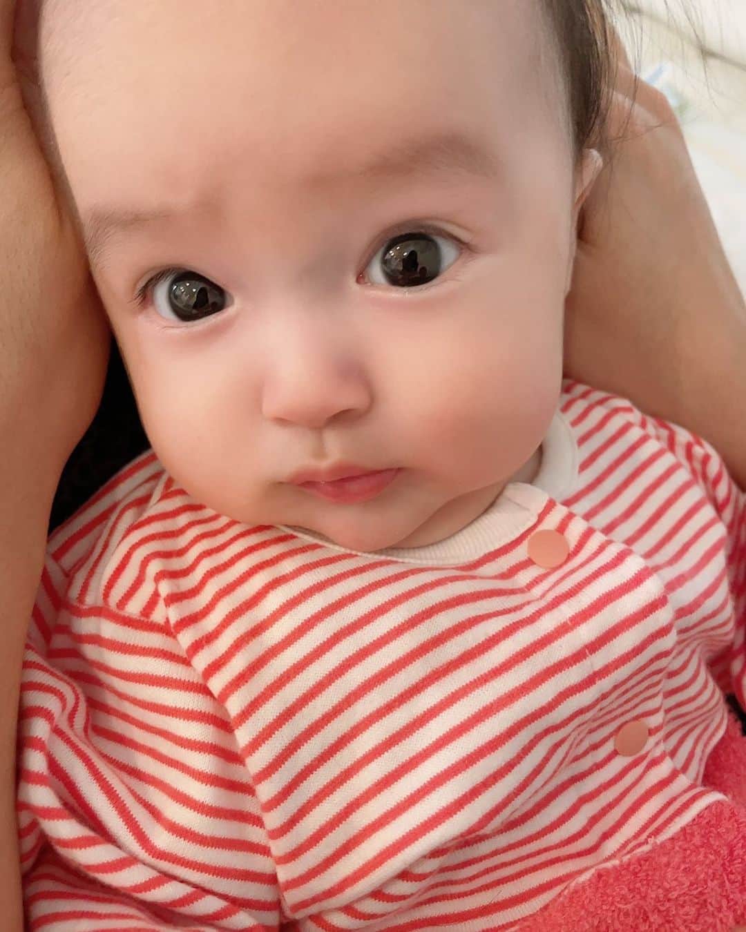 アレクサンダーのインスタグラム：「おはよう❤️ 美人ちゃん❤️  採れたてだよん❤️」