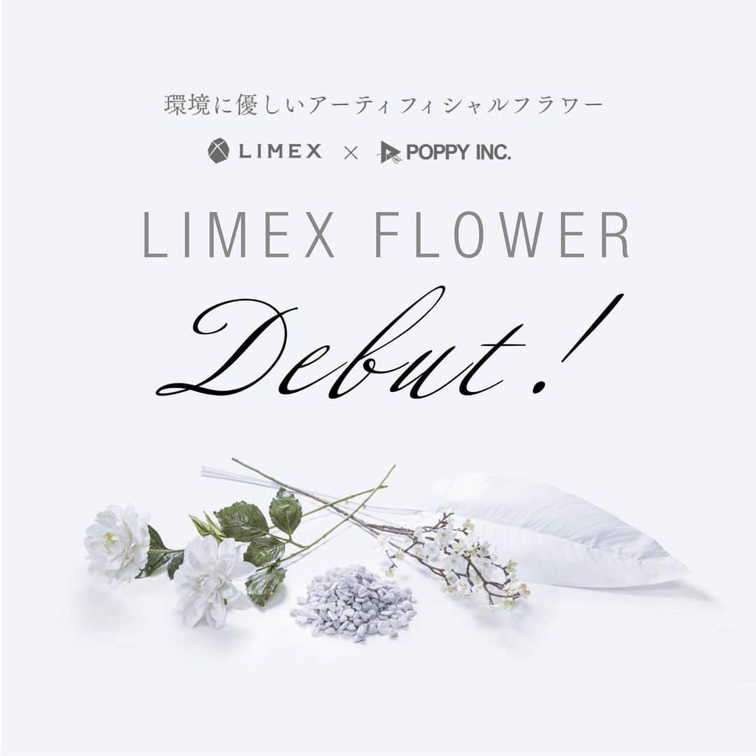 横浜ディスプレイミュージアムのインスタグラム：「LIMEX FLOWER Debut! 株式会社ポピー/横浜ディスプレイミュージアムは3月1日(月)より 石灰石で出来た世界初のアーティフィシャルフラワー 「LIMEXフラワー」を販売いたします。  日本でも100自給自足が可能な石灰石を使った、 環境に優しいアーティフィシャルフラワー「LIMEXフラワー」。 持続可能なモノづくりの素材を使用した、 メッセージ性の高いディスプレイ資材としてお使いいただけます。 商品は3月1日より横浜ディスプレイミュージアムにて 販売開始予定です。※詳細は画像、ホームページをご覧ください。  #limex #ライメックス #株式会社tbm #sdgs #持続可能な暮らし #横浜ディスプレイミュージアム #株式会社ポピー #横浜 #ディスプレイ#アーティフィシャルフラワー #フラワーアレンジメント #フラワーデザイン #インテリア雑貨 #インテリア#インテリアコーディネート#スタイリスト#装飾#デコレーション #花のある暮らし #花好きな人と繋がりたい #display #yokohama #flowerarrangement #interiordesign #artficialflower #flowerstagram」