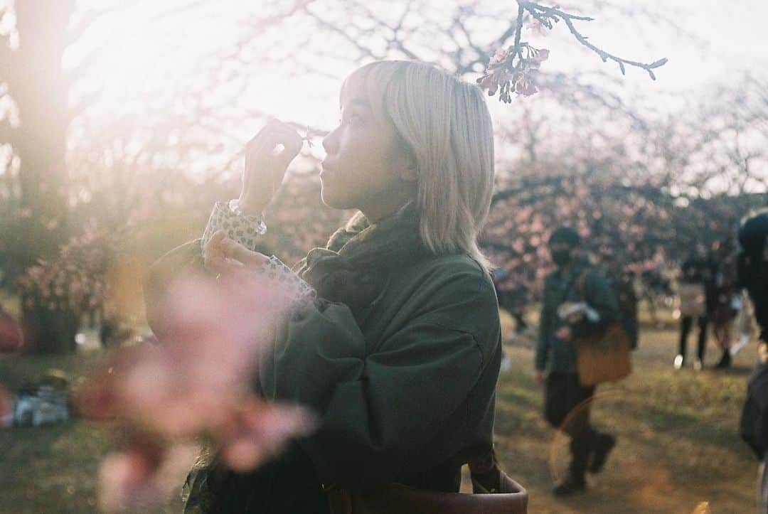 佐藤史果さんのインスタグラム写真 - (佐藤史果Instagram)「季節がだんだんと春めいて来ました。🌸 ・ ・ 縮こまっていた背中を伸び伸びと気持ち良く伸ばせている感覚。🌱 花粉症が少し辛いけど。。🥲💭 ・ ・ 生き物たちが芽吹く季節は気持ちをフレッシュにしてくれて、今年はどんな一年になるのかを思い巡らせる時間が自然と持てるし🌿、そんな自分のこともなんだか好きみたいです。💞 #comingtospring  #comingsoon  #春 #河津桜 #河津桜満開 #🌸 #花粉症 #今年来ないかな #なんて #思っていたら #ちゃんと #来ました #🥲 photo by📸 @_k___s__」2月22日 11時51分 - sato_fumika