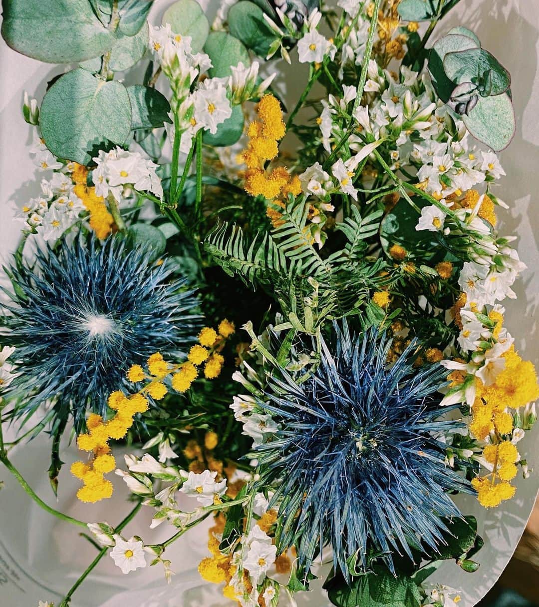 柏の葉 T-SITEさんのインスタグラム写真 - (柏の葉 T-SITEInstagram)「【PICK UP】﻿ 『今週のdecora便🌿 #27』﻿ ﻿ 〈ジャンル〉食・暮らし﻿ 〈場所〉1F 暮らし﻿ ﻿ こんにちは。﻿ フラワーショップ デコラ @decoradecora さんから﻿ 届いたお花をご紹介するこちらのコーナー。﻿ ﻿ ガーデニングに必須の #パンジー は﻿ decoraさんらしく、色は #アンティークカラー﻿ 花びらはフリル、カタチは丸い新しい品種が﻿ お目見えしています👀﻿ ﻿ 毎週売り切れてしまう #ミモザブーケ には﻿ #エリンジウム が入って、﻿ 少しオトナな色合いのブーケになりました。﻿ ﻿ アンティークカラーの #ラベンダー は﻿ 丁寧にドライにしてあって香りがとても上品。﻿ 是非春らしい香りを楽しんでみてください。﻿ ﻿ #パンパスグラス も今週はピンクとグリーンカラーが﻿ 入荷しています。アクセントにぴったりですね。﻿ ﻿ 春らしい球根も多数取り揃えております✨﻿ ﻿ ーーーーーーーーーーーーーーーーーーーーー﻿ そして、来週はひな祭り直前。#桃の節句 に合わせ、桃を使ったブーケが入荷予定です。﻿ どんなブーケをしつらえて下さるのでしょうか。﻿ ワクワクして待ち遠しいですね！！﻿ ﻿ #柏の葉tsite #tsite #柏の葉蔦屋書店 #蔦屋書店 #おうちガーデン #decora #お花のある暮らし #フラワーショップ #フラワーギフト #春のインテリア #ミモザのリース #ひな祭り」2月22日 11時57分 - kashiwanohatsite