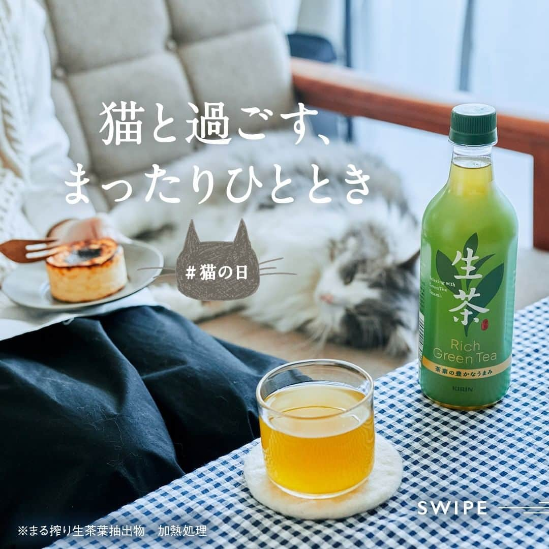 キリンビバレッジさんのインスタグラム写真 - (キリンビバレッジInstagram)「おうちで過ごす日は 猫と一緒にまったりタイム。 . 今日のおやつに用意したのは 濃厚なバスクチーズケーキです。 . チーズケーキのお供は 「生茶」が私の家の定番。 . チーズケーキの甘さや酸味と、 「生茶」のまろやかなうまみが 口の中ですっきりとまとまります。 . 大好きな雑誌を読みながら、少し休憩。 . ソファにいると「なに読んでるの？」と 覗きこんでくる、好奇心旺盛な我が家の猫ちゃん。 . 一緒に読む？とお話ししてたと思ったら いつのまにか、隣でごろん。 . 心地良さそうな寝顔に、 釣られて眠くなってしまいそう。 . 一緒に休憩するひとときは癒しそのもの。 まったりのんびり過ごそうね。 . ※まる搾り生茶葉抽出物　加熱処理 . Special Thanks @yansukim . . ＊＊＊ . みなさまの暮らしに キリンビバレッジの商品が 寄り添えますように。 . #キリンビバレッジ #キリン #キリンスタグラム #KIRINSTAGRAM #KIRIN . #生茶 #チーズケーキ #ペアリング #お茶のある暮らし #お茶のある時間 #お茶の時間 #お茶好き #お茶時間 #チーズケーキ部 #チーズケーキ大好き #おやつじかん #おやつの時間 #デザートタイム #おうちカフェ #生って感動する #猫の日 #猫のいる生活 #猫のいる暮らし #猫のいる幸せ #猫のいる風景 #猫の日常 #猫との暮らし #猫との生活 #猫と暮らす」2月22日 12時00分 - kirin_beverage