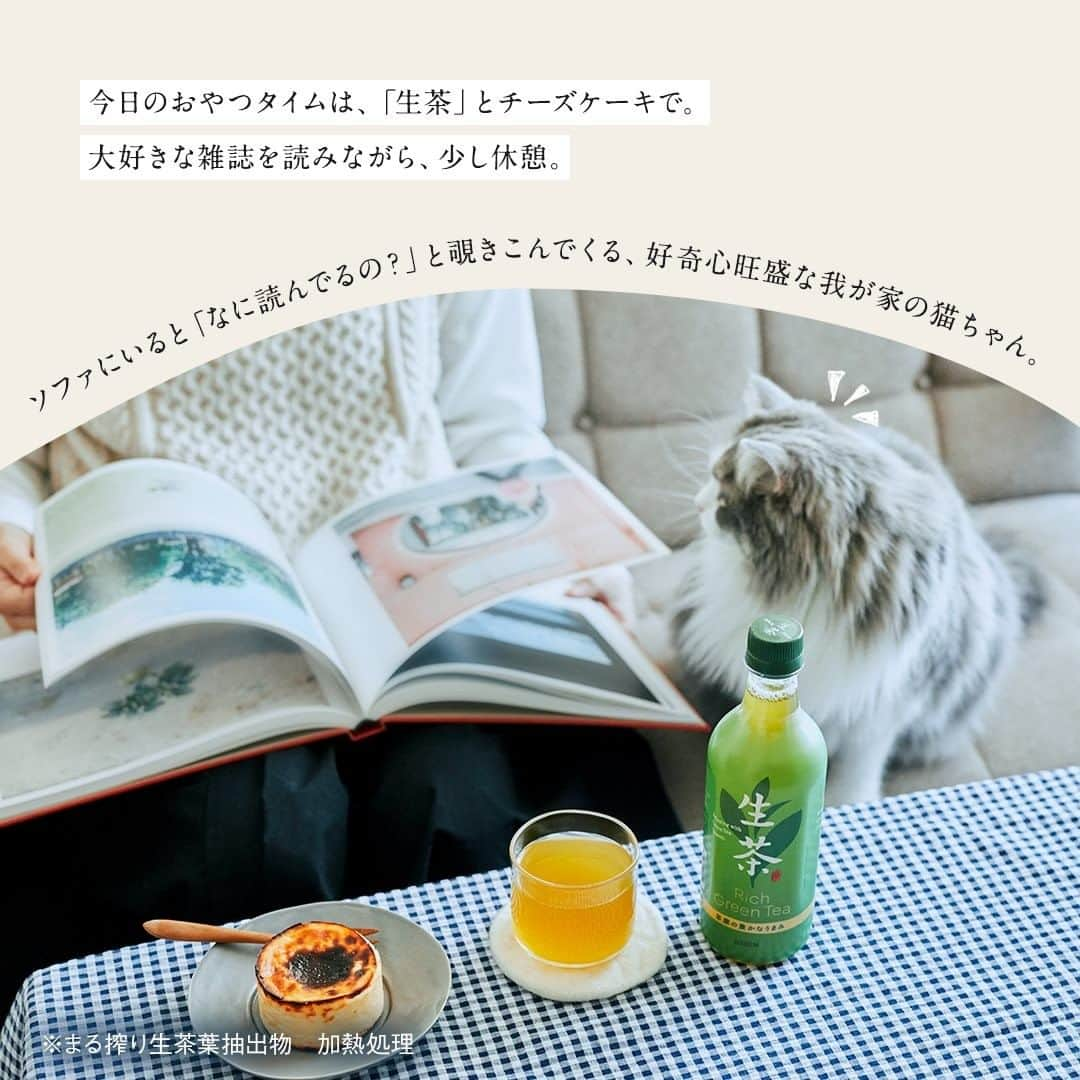 キリンビバレッジさんのインスタグラム写真 - (キリンビバレッジInstagram)「おうちで過ごす日は 猫と一緒にまったりタイム。 . 今日のおやつに用意したのは 濃厚なバスクチーズケーキです。 . チーズケーキのお供は 「生茶」が私の家の定番。 . チーズケーキの甘さや酸味と、 「生茶」のまろやかなうまみが 口の中ですっきりとまとまります。 . 大好きな雑誌を読みながら、少し休憩。 . ソファにいると「なに読んでるの？」と 覗きこんでくる、好奇心旺盛な我が家の猫ちゃん。 . 一緒に読む？とお話ししてたと思ったら いつのまにか、隣でごろん。 . 心地良さそうな寝顔に、 釣られて眠くなってしまいそう。 . 一緒に休憩するひとときは癒しそのもの。 まったりのんびり過ごそうね。 . ※まる搾り生茶葉抽出物　加熱処理 . Special Thanks @yansukim . . ＊＊＊ . みなさまの暮らしに キリンビバレッジの商品が 寄り添えますように。 . #キリンビバレッジ #キリン #キリンスタグラム #KIRINSTAGRAM #KIRIN . #生茶 #チーズケーキ #ペアリング #お茶のある暮らし #お茶のある時間 #お茶の時間 #お茶好き #お茶時間 #チーズケーキ部 #チーズケーキ大好き #おやつじかん #おやつの時間 #デザートタイム #おうちカフェ #生って感動する #猫の日 #猫のいる生活 #猫のいる暮らし #猫のいる幸せ #猫のいる風景 #猫の日常 #猫との暮らし #猫との生活 #猫と暮らす」2月22日 12時00分 - kirin_beverage