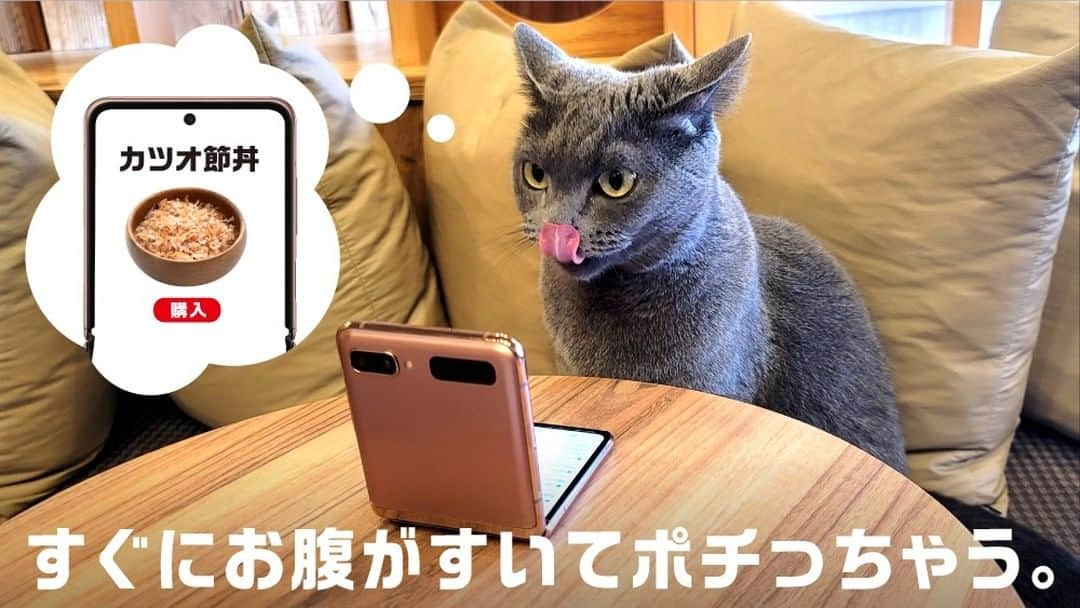 Galaxy Mobile Japanさんのインスタグラム写真 - (Galaxy Mobile JapanInstagram)「#りもーとにゃーく あるある🐈​ (2枚目以降もぜひチェック🐾 )​ 📸#GalaxyNote20Ultra 5G ​ ・​ ・​ ・​ #猫の日 #ニャンニャンニャンの日 #にゃんにゃんにゃんの日 #猫の日常 #猫のいる幸せ #猫のいる風景 #猫のいるくらし #猫の写真 #にゃらくしー #猫好き #猫大好き #ねこすたぐらむ #ねこすた #ネコスタグラム #ネコスタ #ネコ好き #🐱 #ねこと暮らす #ねこすき #ねこ写真 #にゃらくしーカメラ部 #withGalaxy #Galaxy5G #ギャラクシーノート20 #GalaxyNote20 #ギャラクシー #Galaxyカメラ部​ ・​ 皆さんが Galaxy で撮影した「🐈写真」もぜひ見せてください♪​ 撮影/MOCHA 秋葉原店​」2月22日 12時00分 - samsungjpn