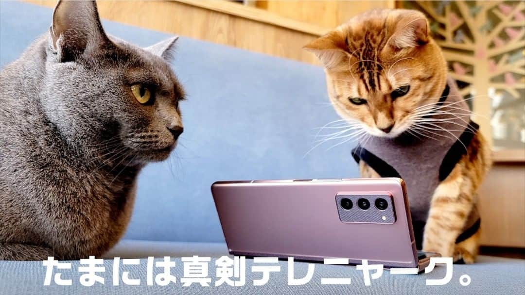 Galaxy Mobile Japanのインスタグラム