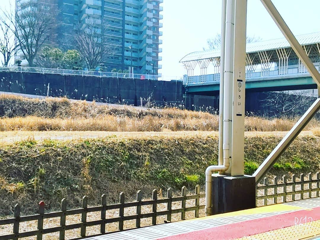 安田さちさんのインスタグラム写真 - (安田さちInstagram)「らーばんねっと「しろいナウ」のロケでした！  梨の時計がかわいい🍐✨  白井市には何度かお邪魔していますが、のどかで人が温かくてとてもいいところです😌  お昼前に終わったので、のんびり帰りまーす🚃💨  #しろいナウ #白井駅 #お出かけ日和 #もうすぐ春ですね🌸」2月22日 12時01分 - sachi.yasuda31