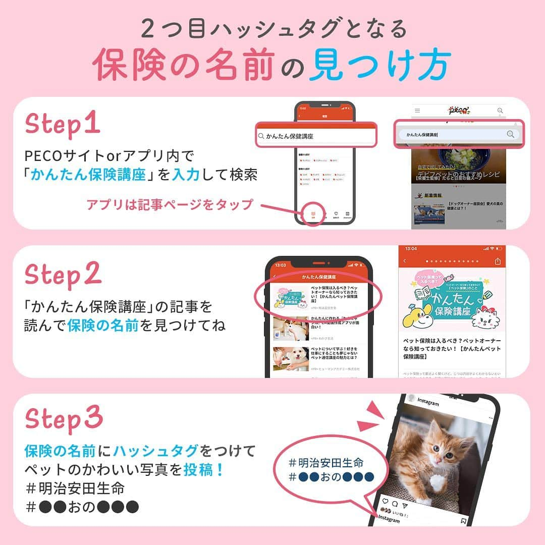 shibainu berryさんのインスタグラム写真 - (shibainu berryInstagram)「明治安田生命から「ペット保険」が新登場したことを記念してInstagram投稿キャンペーン開催中〜🎉 入選者には、家族のわんちゃん・ねこちゃんが掲載された明治安田生命オリジナルカレンダーをプレゼント😆🙌 PECO公式Instagramアカウントにて入選者を発表！ ・ ↓参加方法↓ ・PECO公式Instagramアカウント（ @pecodogs または @pecocats ）のどちらかをフォロー ・ペットのかわいい写真に、ハッシュタグ #明治安田生命 と、明治安田生命から新登場した「ペット保険の名前」を2つ目のハッシュタグとして付けて投稿 ・「ペット保険の名前」は、PECOサイト又はPECOアプリ内にある「かんたん保険講座」の記事に隠れてるよ！ ・ストーリー(ハイライト)に、2つ目のハッシュタグが隠された「かんたん保健講座」の記事リンクが貼ってるよ✨ ・詳細は @pecodogs @pecocats でチェック！ ・ ペット保険については色々考え方あると思うけど、べりやんが去年、脚の手術した時保険入っててほんまに良かった😆 検査、手術代、入院代、通院代でかなりの高額になりました😣 動物の医療費ってめちゃくちゃ高いよね😖 今は脚のことで通院はしてないけど、甲状腺機能低下症の薬毎日飲んでるし、保険入っててほんま良かった✨ 多少高くても保険入ってたらそこそこの事はしてあげられるし😊 動物も人間と同じで高齢になってくると体に不調がいろいろ出てくる…べりやんはこれから色々出てくると思うけど、できる限りのことはするつもり😊 #pr #明治安田生命 #ペット保険 #❤️迷子犬の掲示板スタッフ @maigo_dog #❤️迷子犬の掲示板四国 @maigo_dog_shikoku #めざせ迷子犬ゼロ👌 #柴犬 #べりやん #べりむく #多頭飼い #徳島 #berry #shiba #shibainu  #shibainumania #shibastagram #instashiba #ぷにっと部 #口角キュキュッと部  #チーム俺様 →部員絶賛募集中 #shiba_snap #proudshibas #instagramjapan #ふわもこ部 #pecoいぬ部 #pecotv #buzzfeedanimals #dogsofinstagram #9gag @9gag @barked」2月22日 12時05分 - shibainu.berry