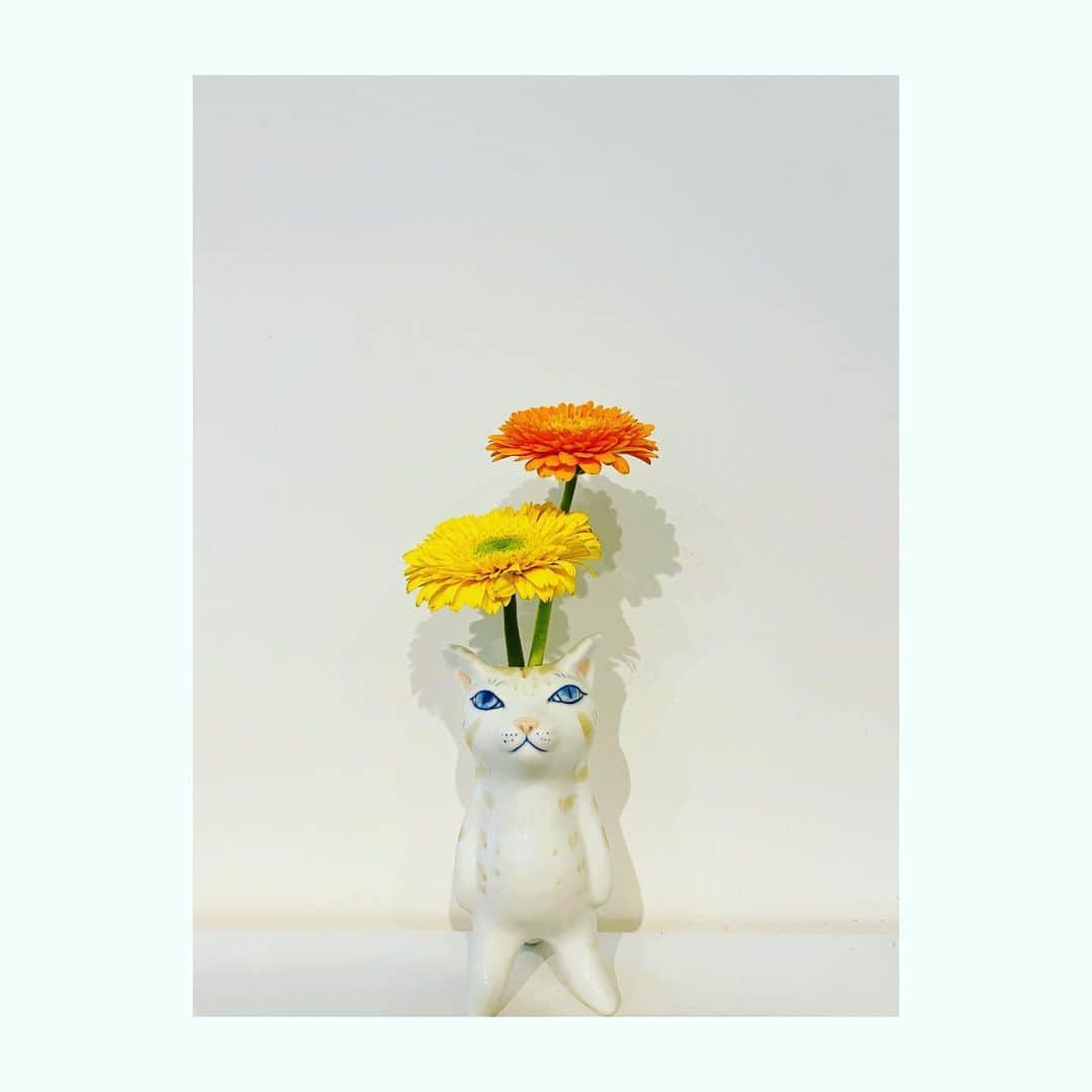 田野アサミさんのインスタグラム写真 - (田野アサミInstagram)「２月22日 猫の日（にゃんにゃんにゃん）だって🐈 可愛い日に最近GETした可愛い子を紹介。 表参道の門さんにて（とっても好きなお店） ※感染対策きちんとされています😷  猫の花瓶🐱🌼🌸立ち猫ちゃん。 なんて愛くるしい仁王立ち😂  この作品の作家さんフラワーズさんが#佐賀県 有田市が拠点という事も....即決🐈💕  佐賀のご縁を大切に🧡🧟‍♀️  お店に訪れる事が出来ない方はCreemaというアプリでもこのFLOWERSさんの作品買えますよ！私も実はCreemaで猫ちゃんのお顔の🐱有田焼ミニミニ 一輪挿し🌹も更にGETしました。笑 可愛いねぇ。愛が込められているのが解る。 にゃんてこったーーー！！🐾  #田野アサミ#asamitano #佐賀#saga#有田#猫#猫の散歩道#表参道門 #にゃんにゃんにゃんの日#222  表参道門さんは３月14日まで企画展開催されている様です。 そして、佐賀に行ける時が来たらフラワーズさんの工房にお邪魔したいなぁ🐈💕という勝手な一方的な夢が出来た！😂」2月22日 12時06分 - tano_asami