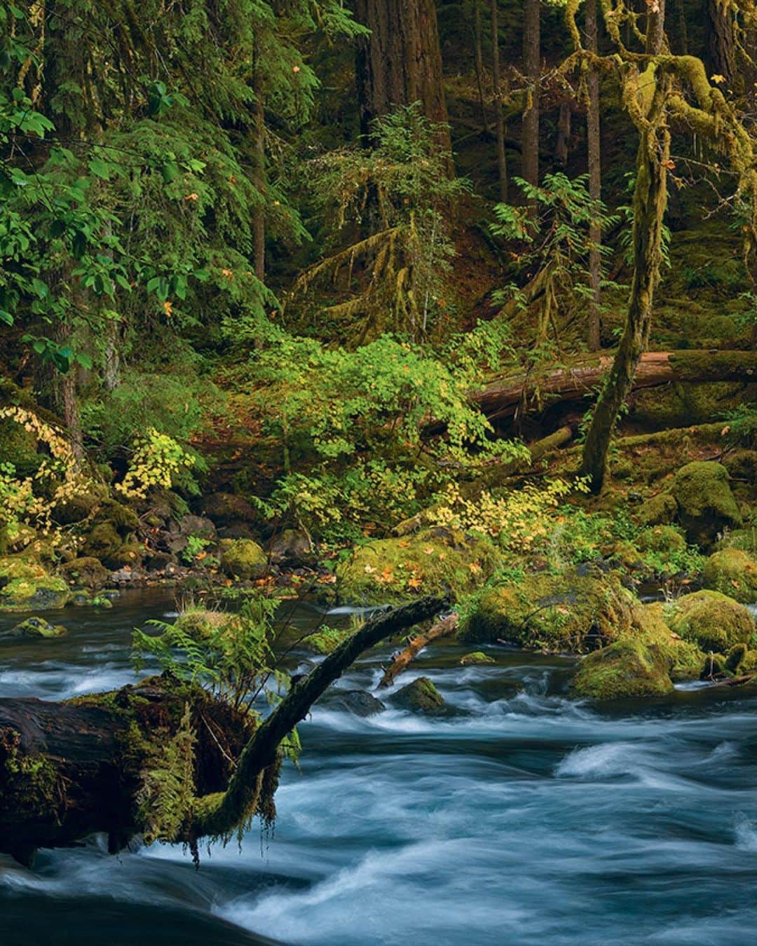 patagoniaさんのインスタグラム写真 - (patagoniaInstagram)「In a previously unpublished interview with the late author Barry Lopez, the writer shares his optimism that we can still solve our environmental crisis by reconnecting with the wisdom and insight that has long been carried by elders and traditional knowledge keepers.⁠⁠ ⁠⁠ Read “In Memory of Barry Lopez” by @malcolmrjohnson on The Cleanest Line through the link in bio.⁠⁠ Photo: Christian Heeb」2月22日 12時15分 - patagonia