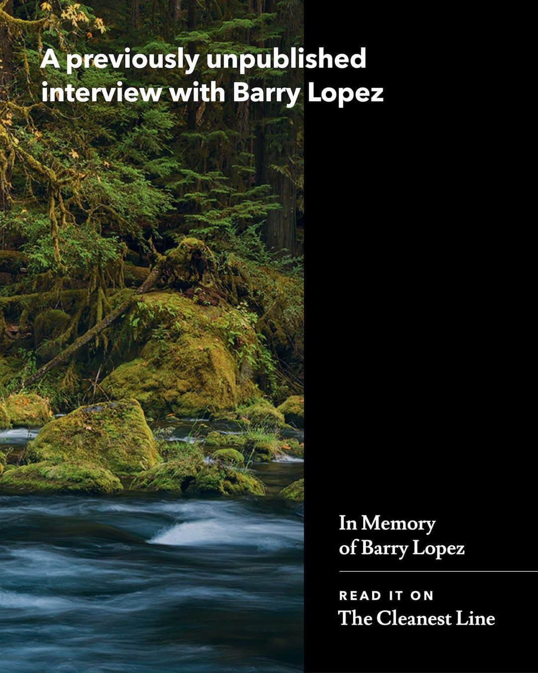 patagoniaさんのインスタグラム写真 - (patagoniaInstagram)「In a previously unpublished interview with the late author Barry Lopez, the writer shares his optimism that we can still solve our environmental crisis by reconnecting with the wisdom and insight that has long been carried by elders and traditional knowledge keepers.⁠⁠ ⁠⁠ Read “In Memory of Barry Lopez” by @malcolmrjohnson on The Cleanest Line through the link in bio.⁠⁠ Photo: Christian Heeb」2月22日 12時15分 - patagonia