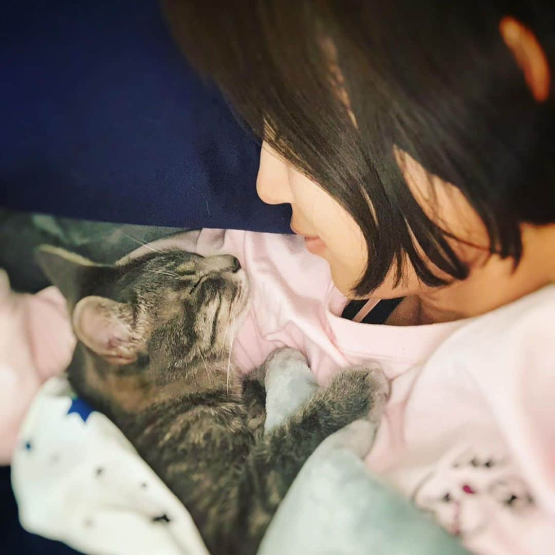 秋吉織栄（宮内かれん）さんのインスタグラム写真 - (秋吉織栄（宮内かれん）Instagram)「2月22日😻🐾 猫の日ニャンですって💕💕  なのでうちの猫たちの動画や写真を❤️❤️❤️  黒猫の小次郎🐈‍⬛ Kojiro❤︎ おすまし娘のシルヴィア🐈 Silvia♡ ヤンチャ娘末っ子ミリオン😼 million❤︎  #猫の日  #ニャンニャンニャン  @oricatstagram   #2021  #織栄組  #織栄組サポーター  #組員募集中  #おりおり  #クロオリちゃん  #コロナウイルスが早く終息しますように  #コロナに負けるな  #静岡  #役者  #女優 #japanesegirl #応援よろしくお願いします」2月22日 12時25分 - orie.oliiiiie.olivia