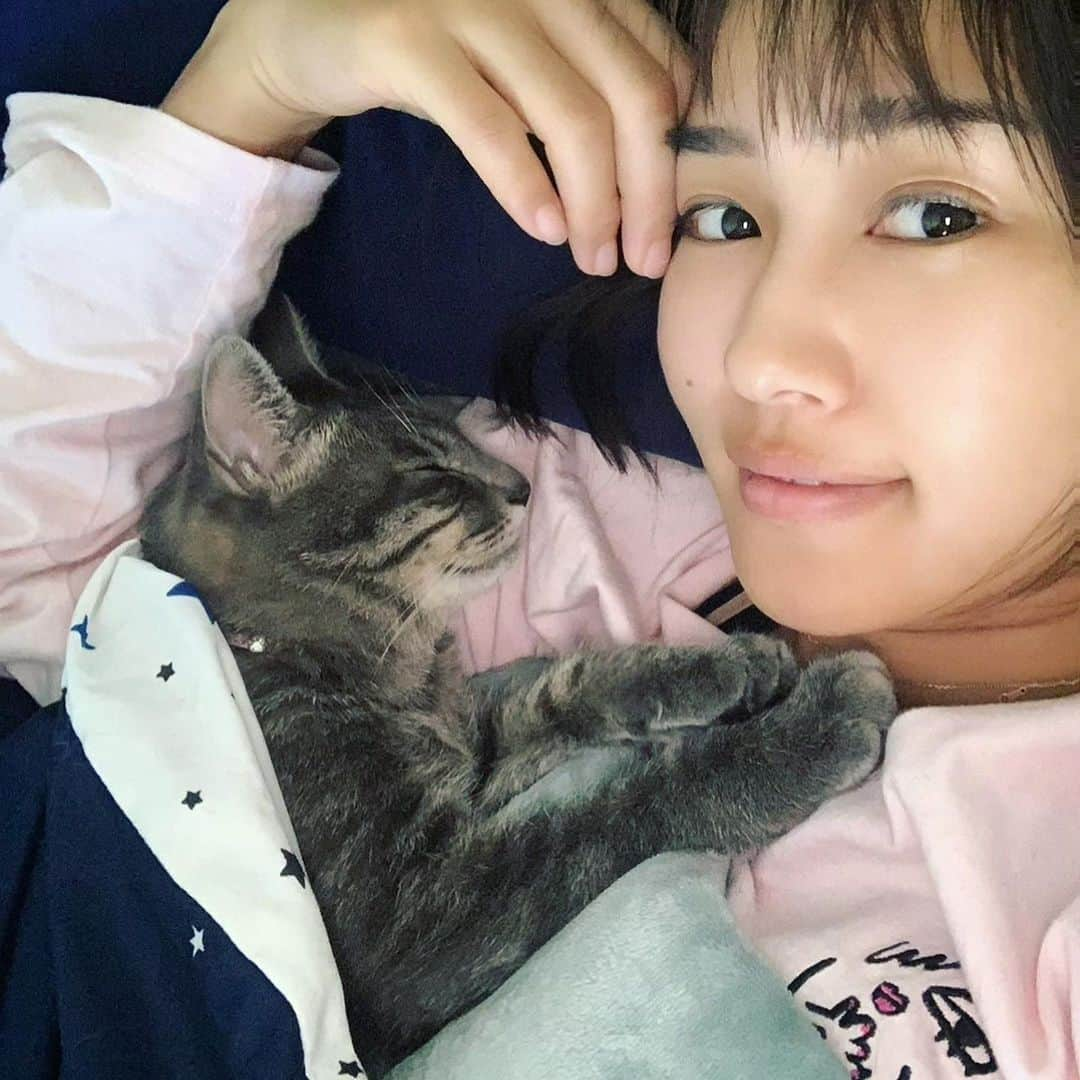 秋吉織栄（宮内かれん）さんのインスタグラム写真 - (秋吉織栄（宮内かれん）Instagram)「2月22日😻🐾 猫の日ニャンですって💕💕  なのでうちの猫たちの動画や写真を❤️❤️❤️  黒猫の小次郎🐈‍⬛ Kojiro❤︎ おすまし娘のシルヴィア🐈 Silvia♡ ヤンチャ娘末っ子ミリオン😼 million❤︎  #猫の日  #ニャンニャンニャン  @oricatstagram   #2021  #織栄組  #織栄組サポーター  #組員募集中  #おりおり  #クロオリちゃん  #コロナウイルスが早く終息しますように  #コロナに負けるな  #静岡  #役者  #女優 #japanesegirl #応援よろしくお願いします」2月22日 12時25分 - orie.oliiiiie.olivia