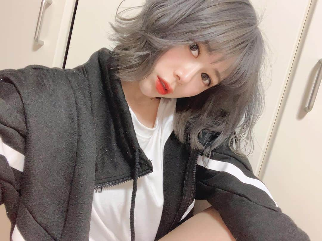 かめだなつみのインスタグラム：「silver hair🐺🕸🌪💿 . . . #サロン撮影 #サロンモデル #サロモ #撮影 #shooting #model #モデル  #美容院  #silverhair #ボブ #ボブアレンジ #ハイトーンカラー #ハイトーンボブ  #follome #f4follow #summer  #ootd #cute #fashion #hair #instagood #커플티 #남친룩 #팔로우 #선팔하면맞팔 #뷰스타그램 #instagood #fff #l4like #beauty #photooftheday」