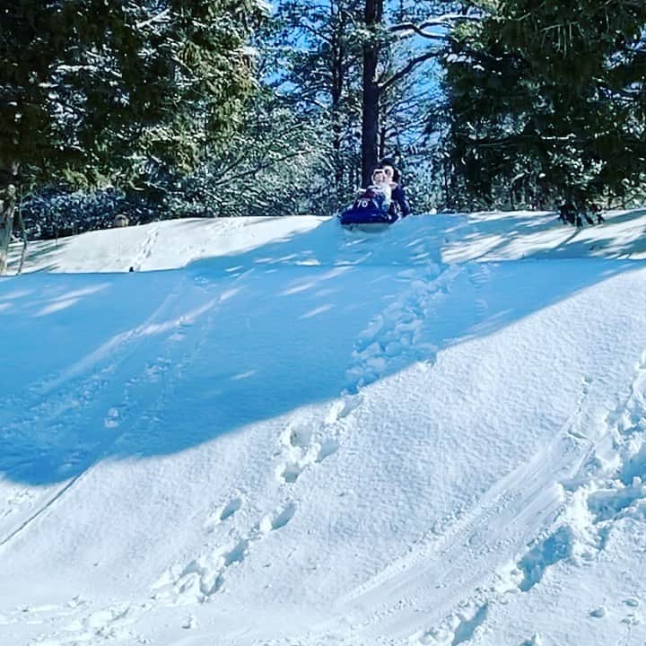 ニール・パトリック・ハリスのインスタグラム：「Sledding. Thanks, Gideon, for the Herculean shove. And thanks, Spike, for the Indiana Jonesian reflexes. 🎥 @dbelicious @spikegrams」