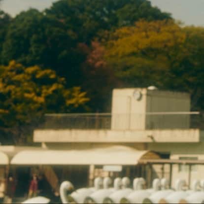 吉祥寺PARCOのインスタグラム：「🛸﻿  ﻿ 〓〓〓〓〓〓〓〓〓〓〓〓〓〓〓〓﻿ 吉祥寺パルコ は 40周年 を 迎えた！﻿ 〓〓〓〓〓〓〓〓〓〓〓〓〓〓〓〓﻿ ﻿ 皆様への感謝をこめて、﻿ 3月19日より #吉祥寺パルコ40周年キャンペーン﻿ を開催いたします。﻿  ﻿ わくわくする気持ちを皆様にお届け。﻿ （そして、この謎の飛行物体は…？）﻿  ﻿ 詳しくは吉祥寺パルコHPまたは﻿ プロフィールURLよりチェック。﻿ ﻿ #吉祥寺 #パルコ #吉祥寺パルコ #parco﻿ #吉祥寺パルコ40周年 #40周年 #40歳﻿ #kichijoji #ufo ?」