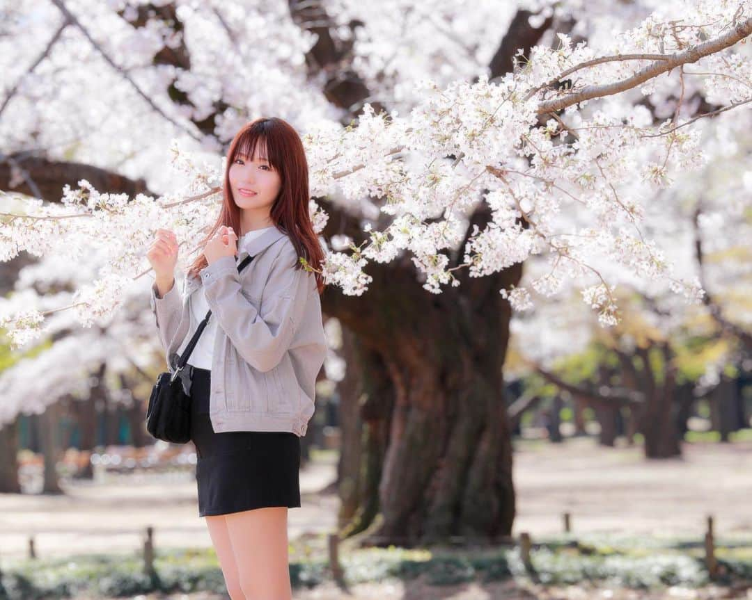 遊馬りえのインスタグラム：「桜の写真、コメント多かったから皆桜好きなの一緒で嬉しかった〜春生まれだからかはわからないけど、春は大好きな季節のうちのひとつです🌸 ・ ・ ・ #sunocoimagegirl2020 #レースクイーン #profilepictures #profilepics #ロングヘア #leggygirl1 #デニムジャケットコーデ #leggy #japanesegirl #代々木公園 #個撮モデル #スニーカー女子 #skinnylegs #ビジョビ #高身長女子 #talljapanesegirls #tallasian #miniskirt #ミニスカ #173cm #yoyogipark #cherryblossom #leg #portraitphotography #portraits #桜ポートレート #ポトレ女子 #ポートレートが好きな人と繋がりたい #ポートレート #naturebodyplus」