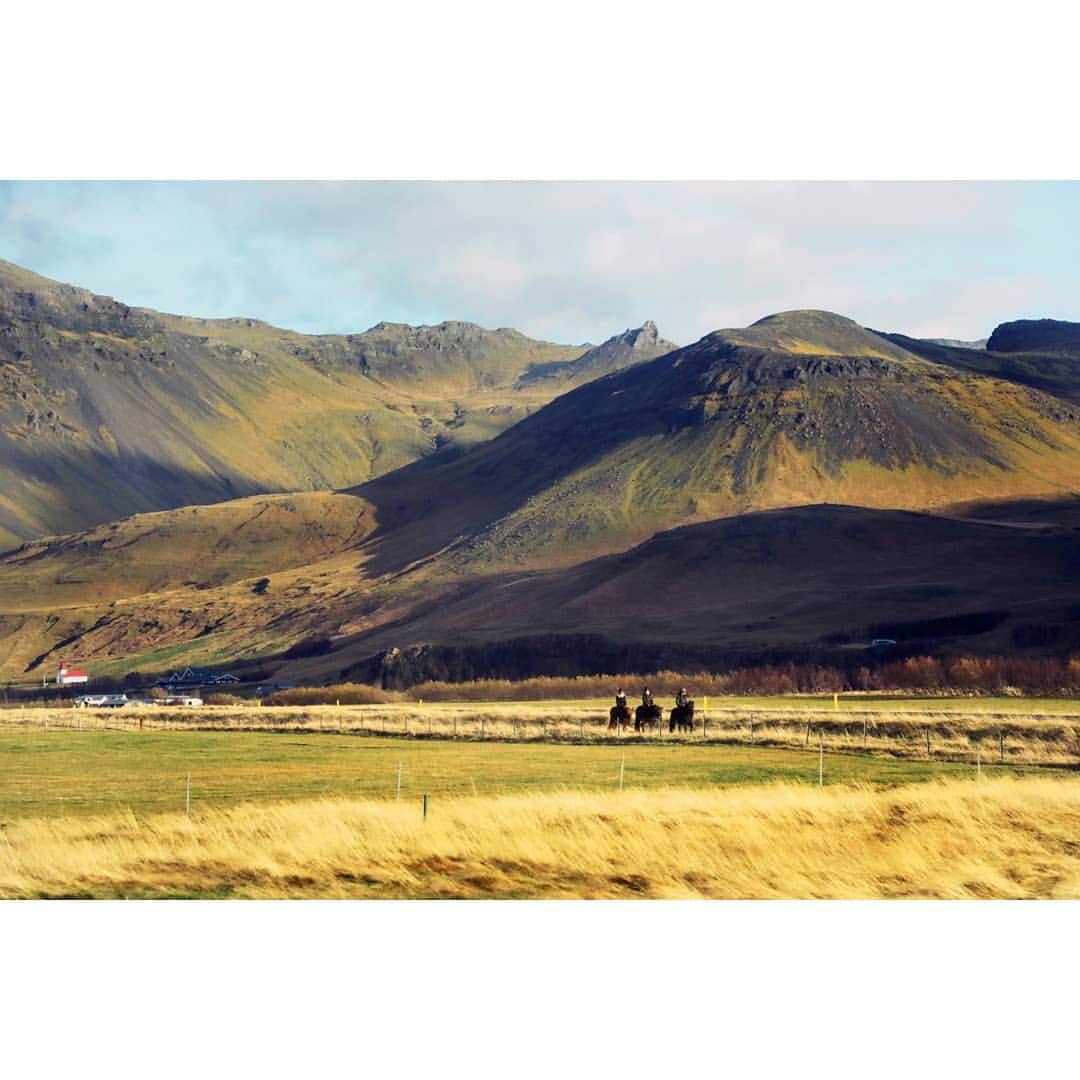 テレビ朝日「世界の街道をゆく」さんのインスタグラム写真 - (テレビ朝日「世界の街道をゆく」Instagram)「北極圏近くの島国アイスランド。この地では太陽が真上に昇ることはありません。斜めに振り注ぐ光が、通り過ぎてゆく風景に表情を与えます。街道沿いで目にする人々の営みも、自然の一部に思えてきました。 遠くに白い山が見えてきます。あれは雪でしょうか・・・。いえ、氷河です。ソゥルヘイマヨークトル。ヨークトルが氷河という意味だそうです。青緑の氷河の上に見える黒い模様は噴火による火山灰だと、レンジャーが教えてくれます。 この国の大自然が描き出す風景。これこそまさに「火と氷の島」と言われる所以だと実感しました。  #世界の街道をゆく #キヤノン #テレビ朝日 #坂東巳之助 #canon 写真　#狩野喜彦 #大自然と人が息づく北国の道 #アイスランド #ソゥルヘイマヨークトル #ICELAND #republicoficeland #LýðveldiÍsland #Sólheimajökull」2月22日 13時17分 - tvasahi_kaidou