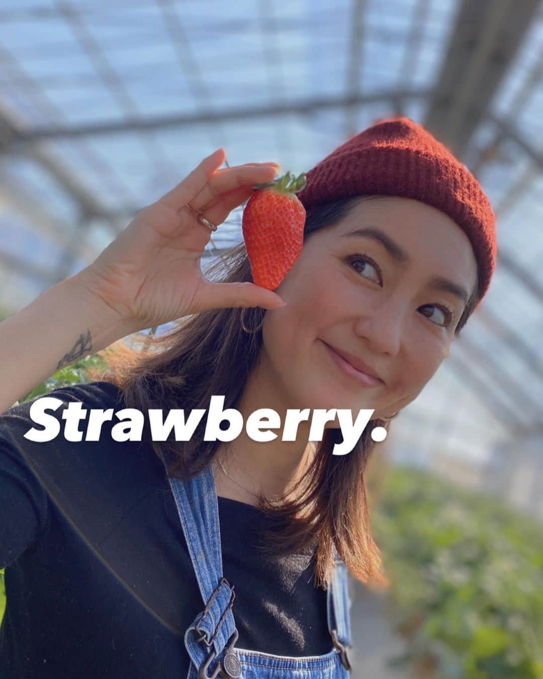 堀舞紀のインスタグラム：「🍓🍓🍓 . . . . 毎年予定も立てずに 思い立ってアタフタ予約するもんだから なかなか空いてるところがなくて😅 . . . 予約の要らない いちご狩りfarm👨🏽‍🌾 ギリギリ滑り込みセーフ。 . . 皆さんは 前もって予約をしてから 行く事をオススメします😂 (アタリマエだろ) . . . cannyO の喜ぶ顔が見たい❤️ ってのが勿論1番の理由でしたが、 私も父ちゃんも🍓大好きw . . . 胃袋がはち切れるまで 詰め込みました！！ 満腹満足！！！！ . . 予測通り cannyO 👧🏽の服も靴もベチョベチョ 😩 でも美味しそうにおおーーーーきな 🍓を頬張る家族の顔を観察するのって 楽しいよね😂 . . . あったかかったので Tシャツで過ごせて 春が来たな！！！って クシャミ🤧連発しながらも 嬉しくって ツーステップで移動しました❤️ . . 大嫌いな冬が終わる！！！ それだけで こんなにテンションが あがるなんて🥺🥺🥺 . . . ちなみに、 ストーリーで沢山聞かれた のでオーバーオールは 100年前に買った古着です🙇🏽‍♀️ . . . #いちご狩り  #strawberry #springhascome  #🍓　#イチゴ #食いしん坊万歳」