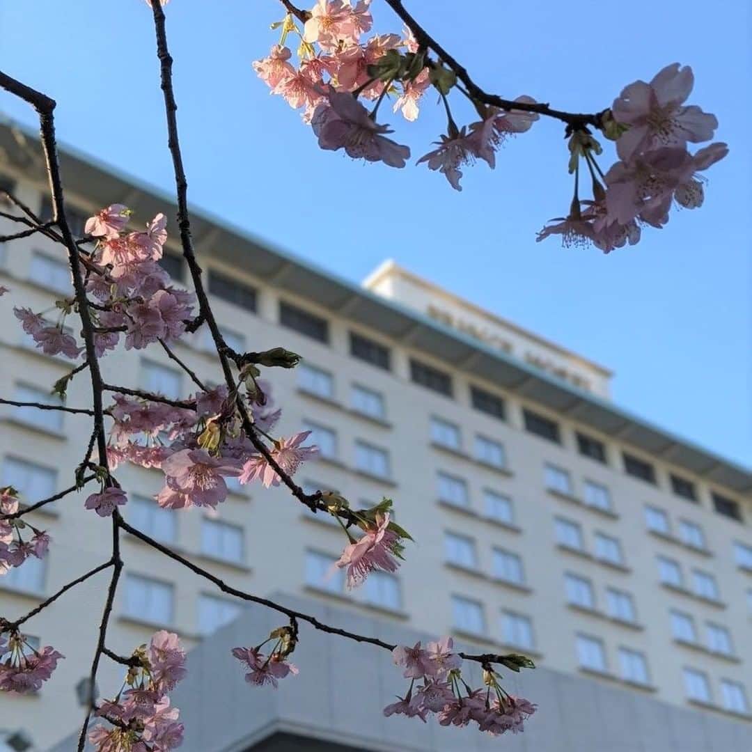 東京プリンスホテルのインスタグラム