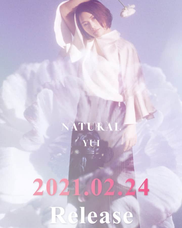 FLOWER FLOWERのインスタグラム：「2月24日発売！🎊  YUIデビュー15周年を記念し YUI人気の6曲をFLOWER FLOWERの メンバーとともにリアレンジ。 現在のyuiが歌いなおした自然体な 歌の魅力を存分に感じ取れる 作品となっております。  #YUI #yui #FLOWERFLOWER #NATURAL #feelmysoul #CHERRY #Rollingstar #Goodbyedays #GLORIA #SUMMERSONG」