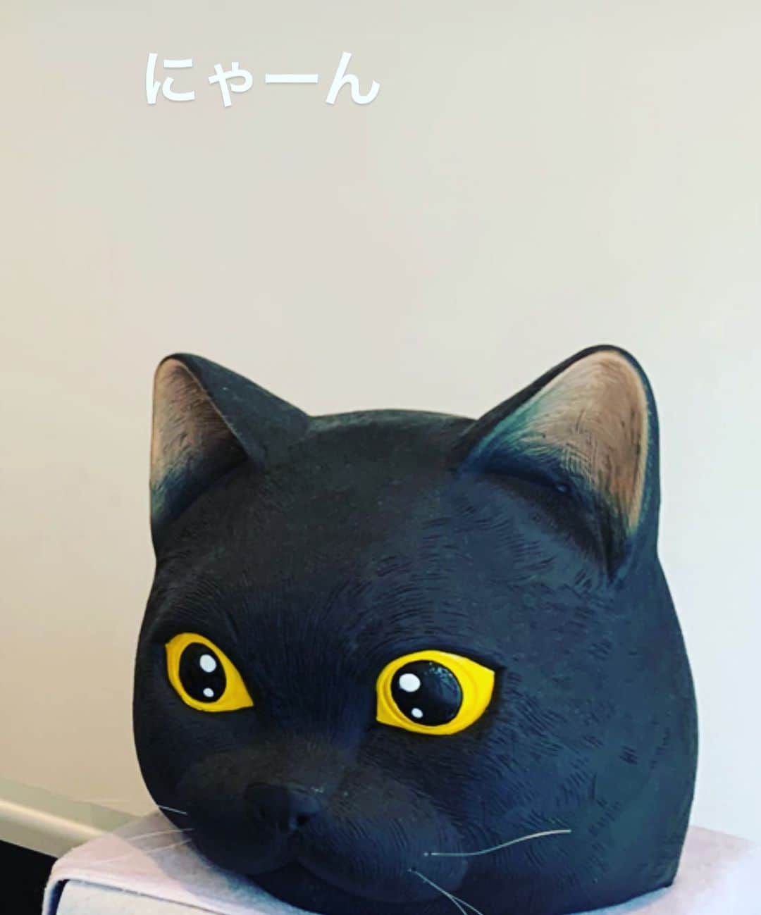 黒沢薫さんのインスタグラム写真 - (黒沢薫Instagram)「猫の日だってね。 #catday #cat #graciasstudio #lovelife #instacat #曲作りをいつも見守る #後一匹いる」2月22日 14時21分 - kaorukurosawa_lovelife