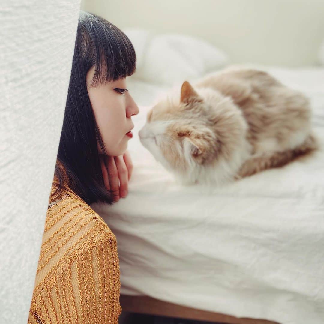 中里亜美さんのインスタグラム写真 - (中里亜美Instagram)「#猫の日  #222  #にゃんにゃんにゃんの日   🐈 @kometarogram」2月22日 14時44分 - __ami__go__
