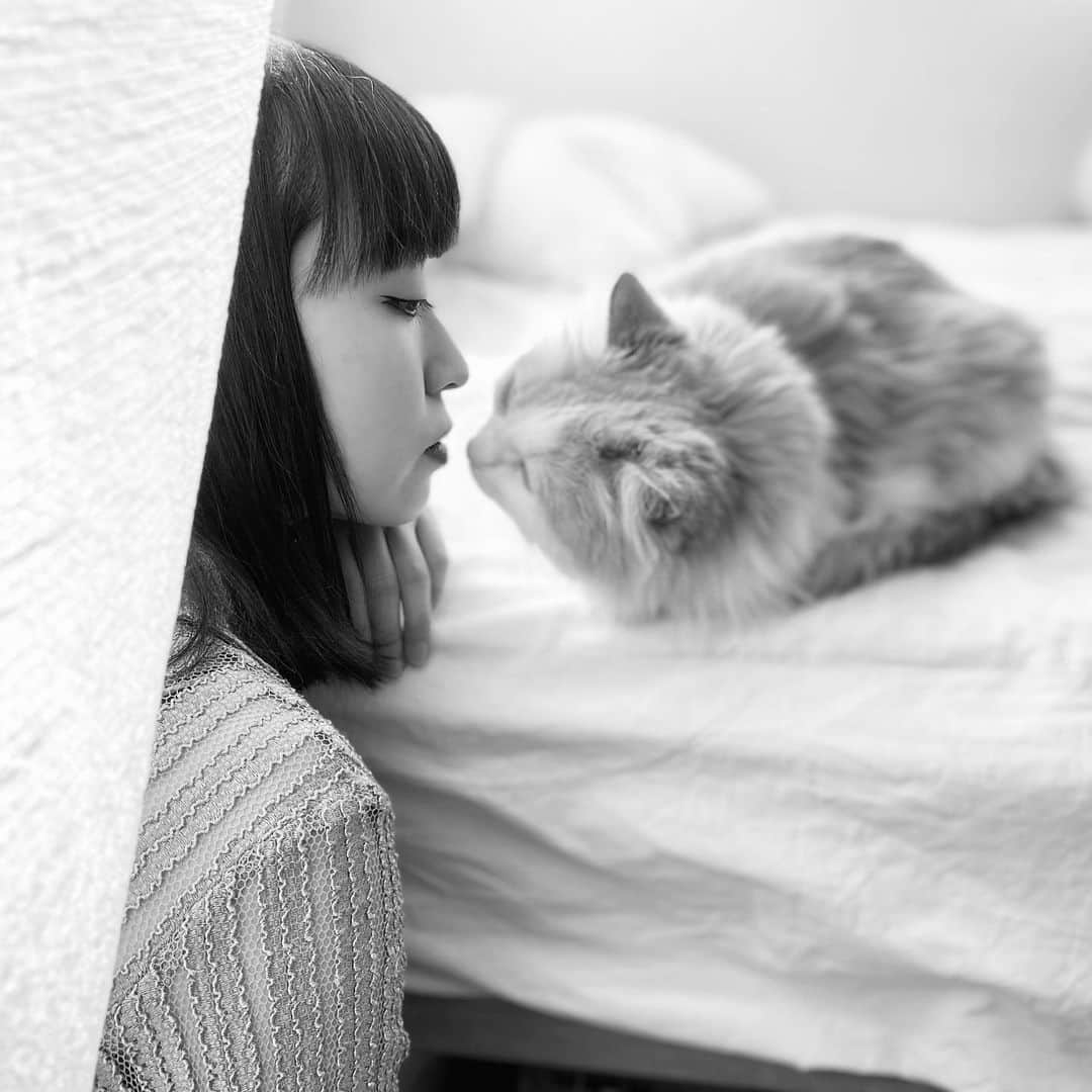 中里亜美のインスタグラム：「#猫の日  #222  #にゃんにゃんにゃんの日   🐈 @kometarogram」