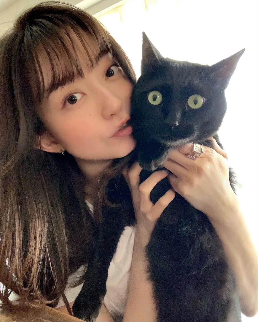 のインスタグラム：「: こんにちは♡ 撮影していて遅くなりました📷 今日は2月22日で猫の日なので🐾 #月曜の花 はフェスターと一緒に 撮ってみました🐈‍⬛❤︎ ごろりん同様、フェスも抱っこが 苦手なので目がまん丸の緊張顔🤣 2枚目は逃げ出す瞬間です💨笑 : 今日もポカポカいい天気ですね☀️ もう寒くなってほしくないなぁ😯 今週も体調に気をつけてがんばろうね♡ #goodmorning #monday  #月曜の花 #愛猫 #フェスター  #保護猫 #2月22日 #猫の日」