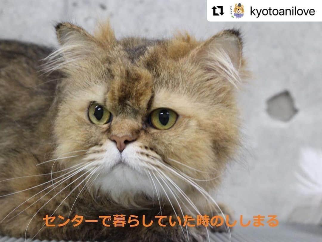 杉本彩のインスタグラム