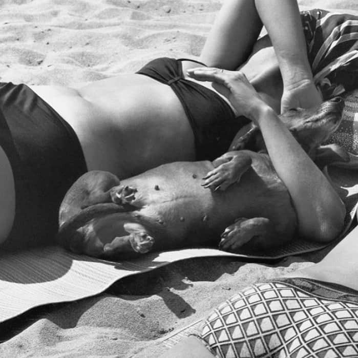 Meganのインスタグラム：「Sunbathers at Saint Marie de la Mer, France 〰 photo by Elliott Erwitt, 1977 . . . . #ellioterwitt #sunbathers #sausagedog」