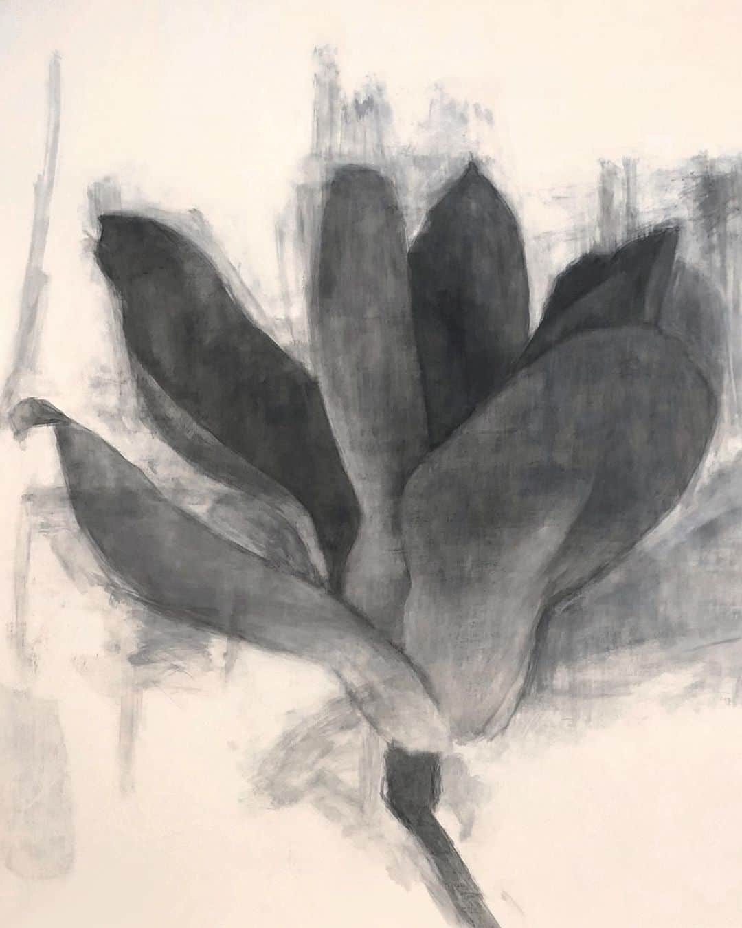 Uzo Hiramatsuさんのインスタグラム写真 - (Uzo HiramatsuInstagram)「#fukuoka #contemporaryart #painting #drawing #spring #flower #magnolia」2月22日 15時00分 - uzo_hiramatsu