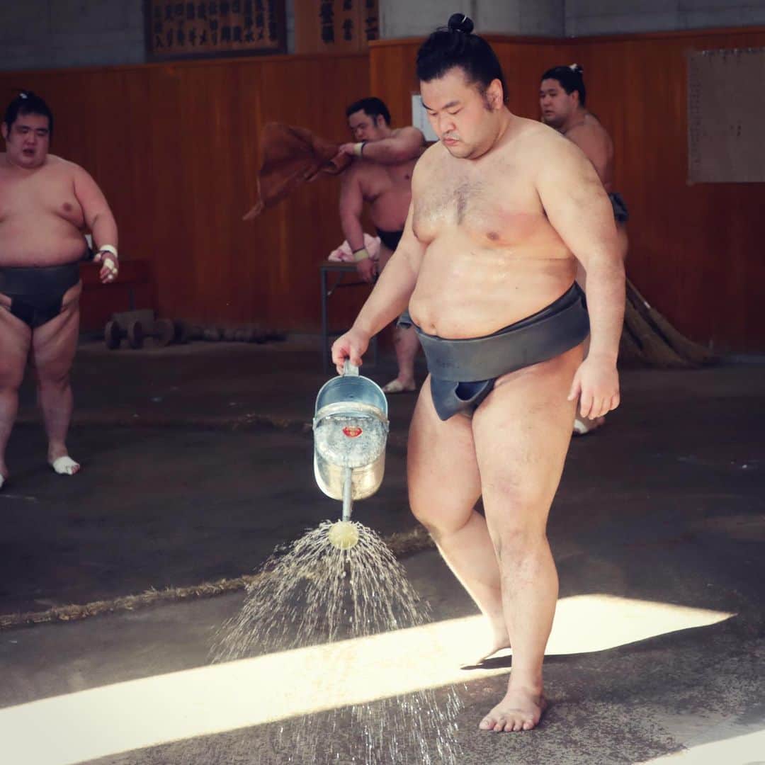日本相撲協会さんのインスタグラム写真 - (日本相撲協会Instagram)「本日、相撲教習所で合同稽古の三日目が行われました。 土俵に何度も転がり、強くなります。  @sumokyokai #大相撲 #sumo #相撲 #力士 #お相撲さん #japanphoto #sumowrestlers #japanculture #cooljapan #魁清城 #魁 #鳴滝 #魁勝 #勇輝 #狼雅 #明生 #逸ノ城 #髙安 #錦木 #朝乃山 #鶴竜」2月22日 15時06分 - sumokyokai
